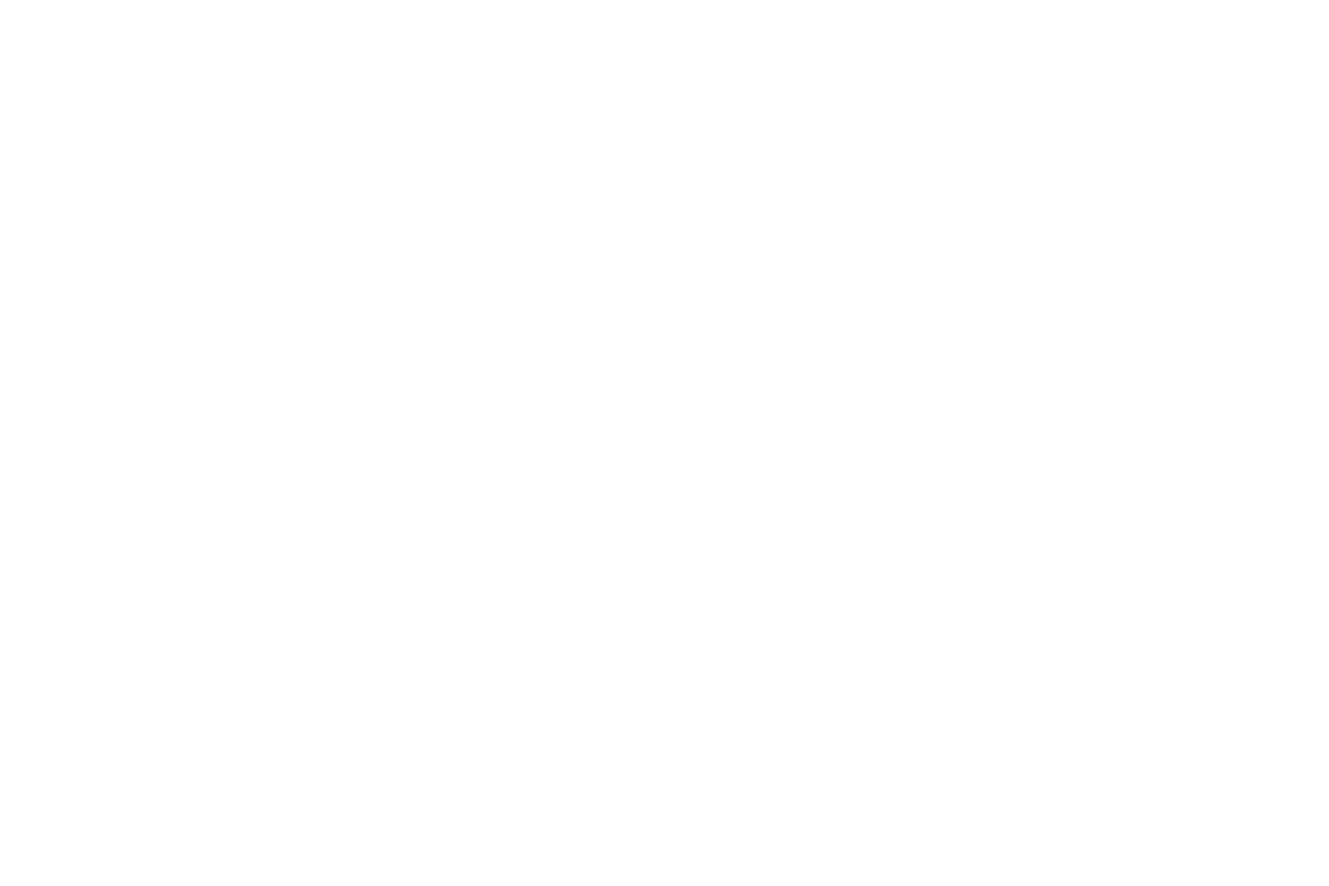 LawmanGROUP line logo_White